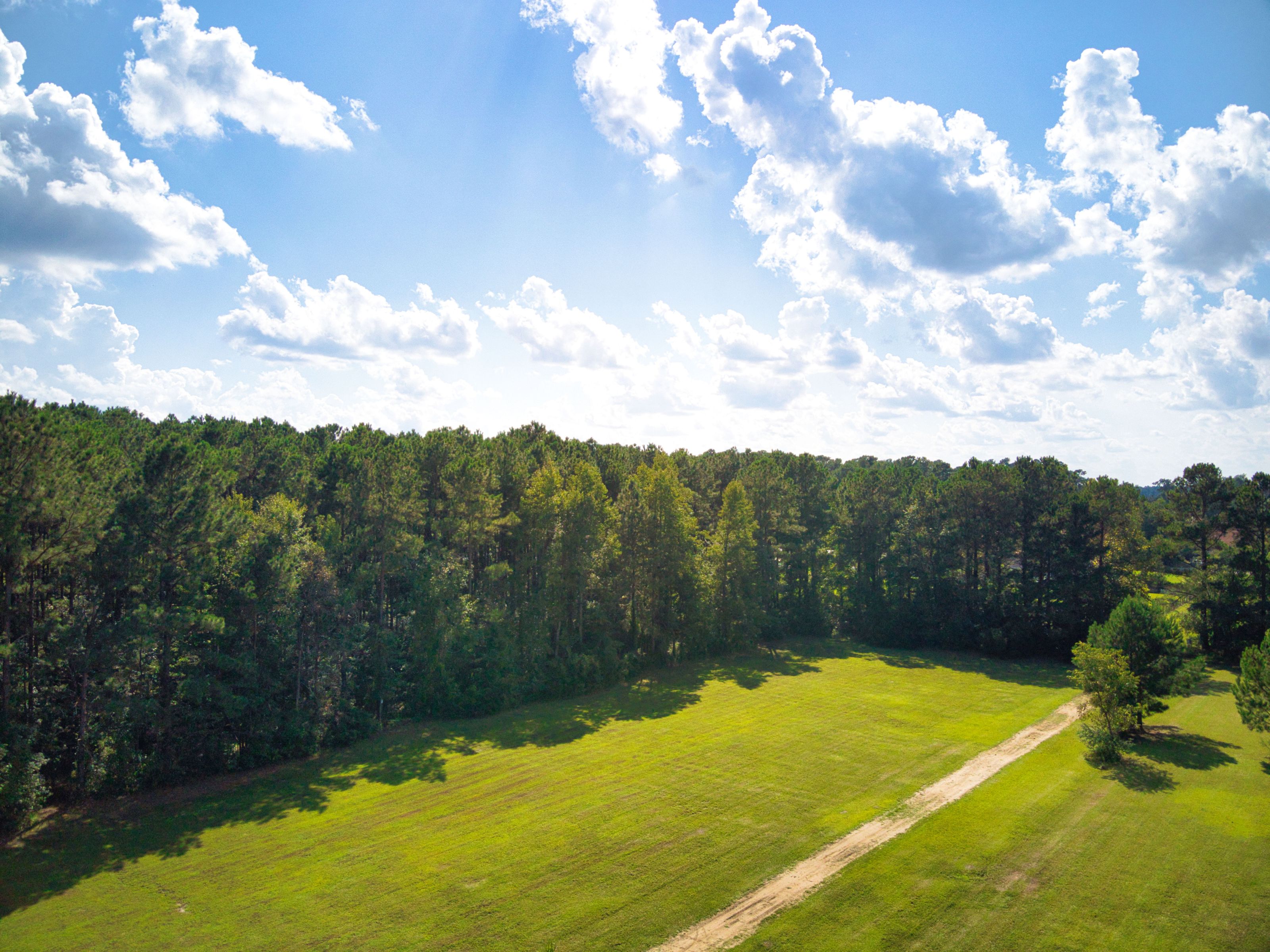 Wooded Lots